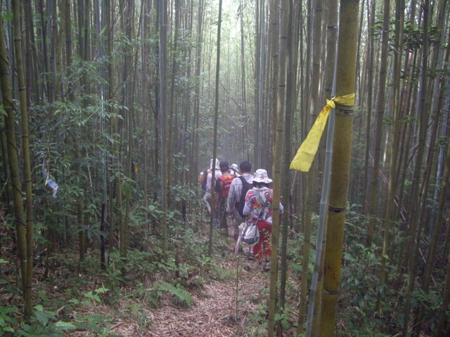 李崠山縱走大混山