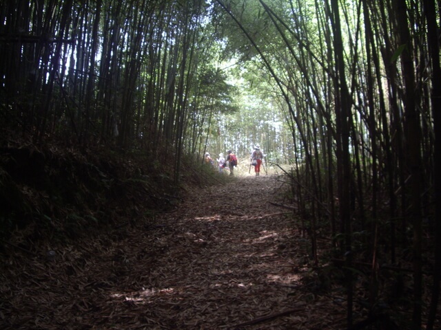 李崠山縱走大混山