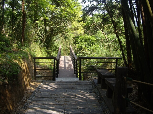 【新竹橫山】福沙大崎步道