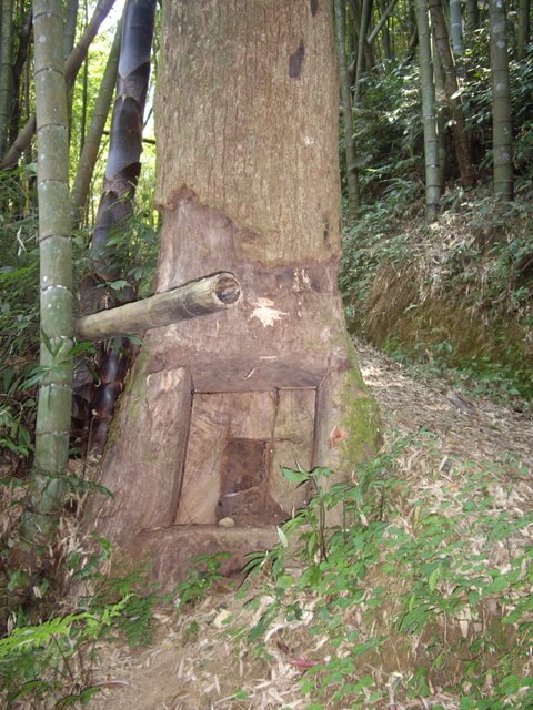 嘉南雲峰、好望角、石壁山