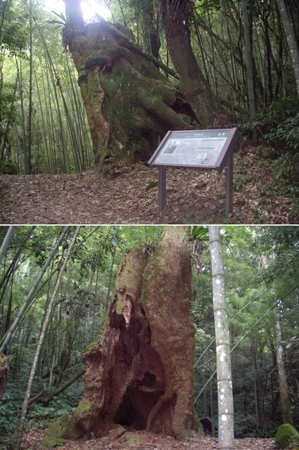 嘉南雲峰、好望角、石壁山