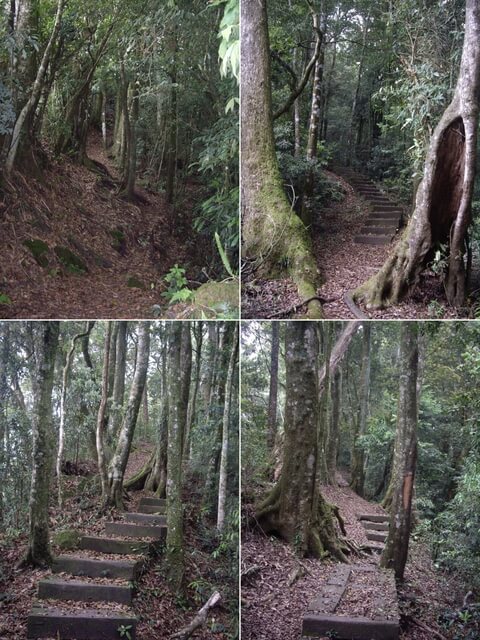 嘉南雲峰、好望角、石壁山