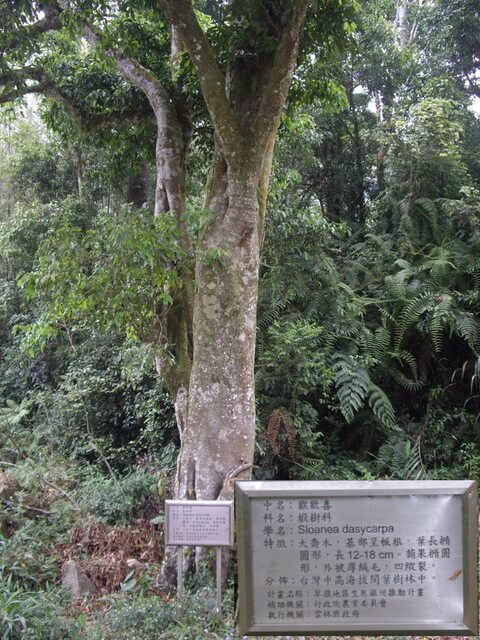 嘉南雲峰、好望角、石壁山