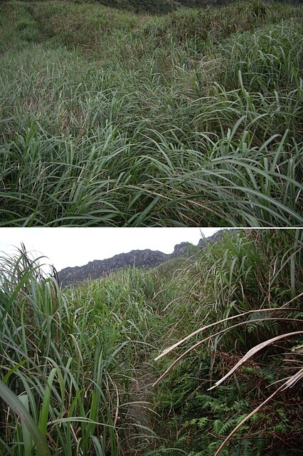 無耳茶壺山、半平山、燦光寮山