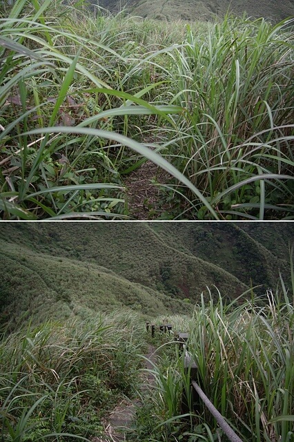 無耳茶壺山、半平山、燦光寮山