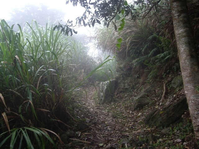 錐麓古道