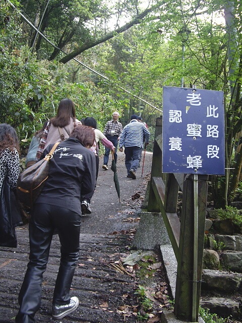 東埔溫泉區、彩虹步道、彩虹瀑布