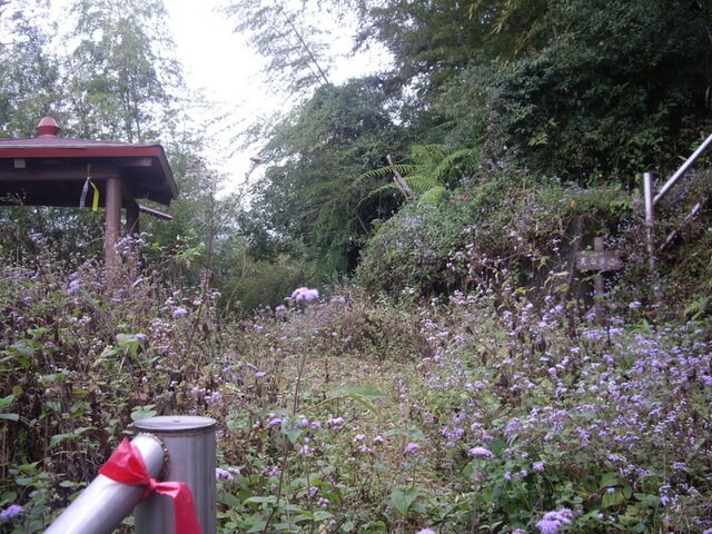 尖山步道、大湖尖山