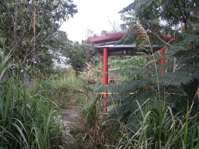 尖山步道、大湖尖山