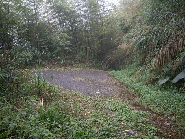 尖山步道、大湖尖山