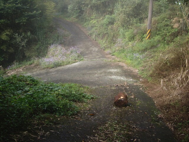 尖山步道、大湖尖山