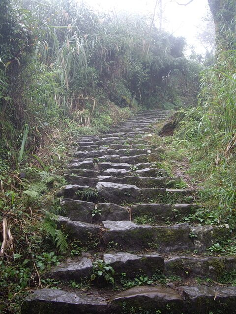 大凍山(頂湖線)