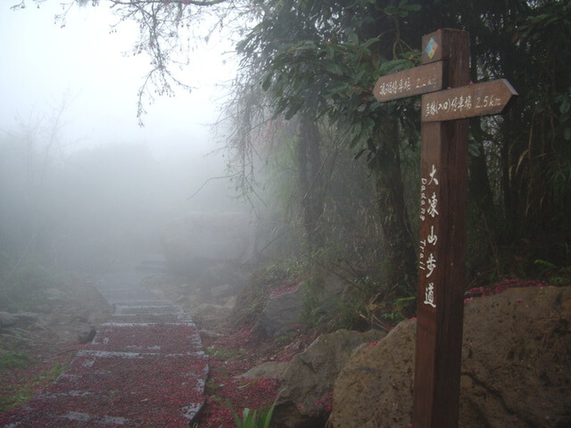 大凍山(頂湖線)