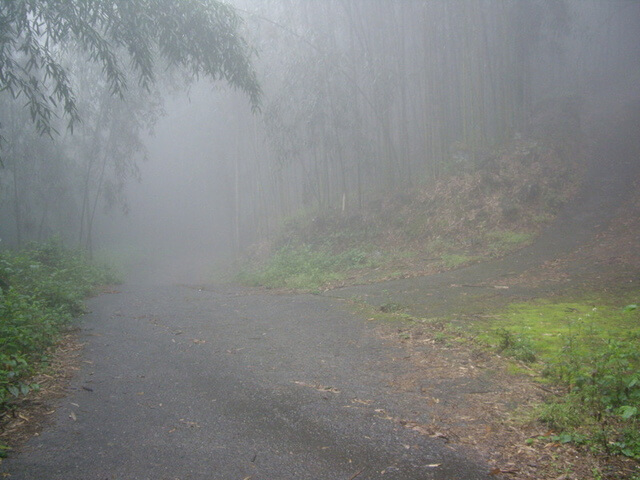 大凍山(頂湖線)