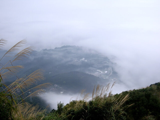 雲林古坑鄉