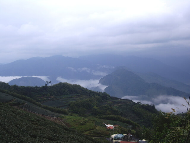 嘉義梅山鄉