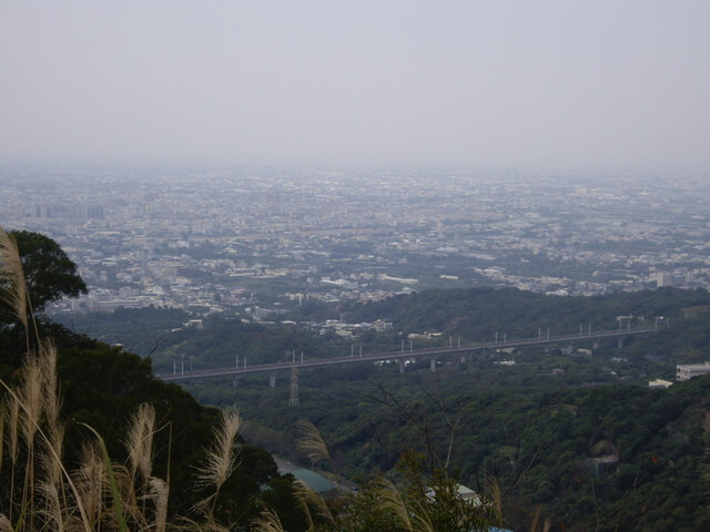 臥龍坡步道、藤山步道、西施厝坪山、樟普寮山