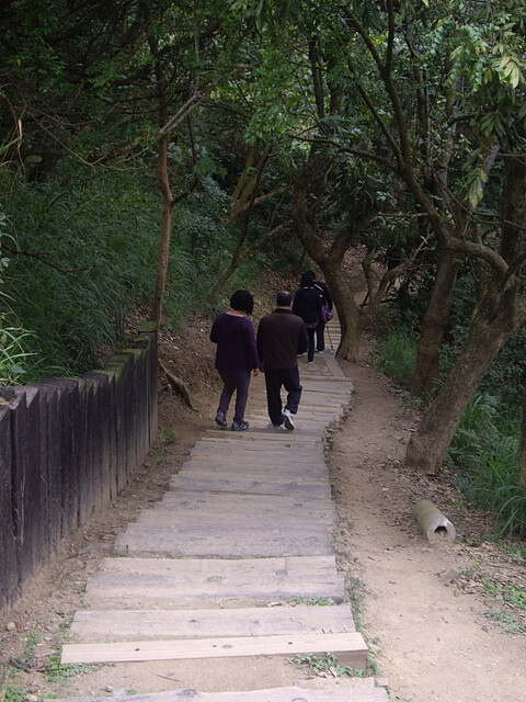 桃源里森林步道、坑子內山