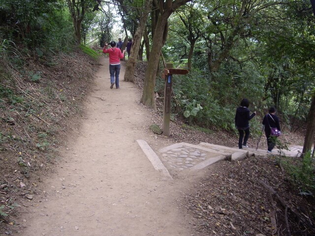 桃源里森林步道、坑子內山