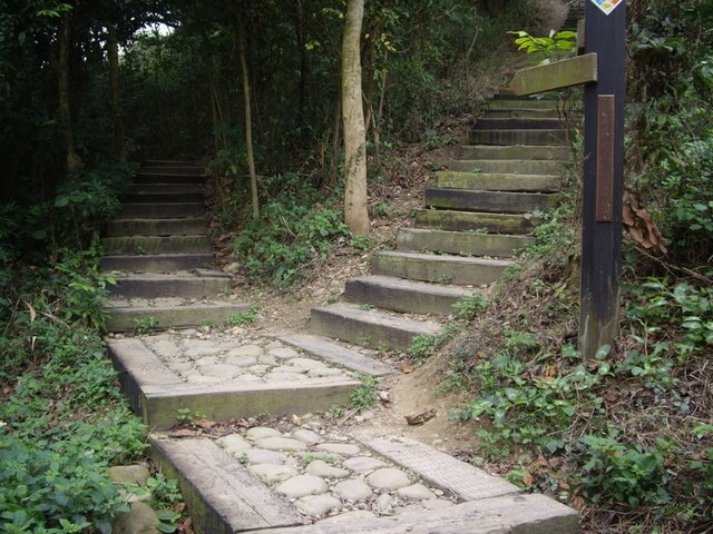 桃源里森林步道、坑子內山