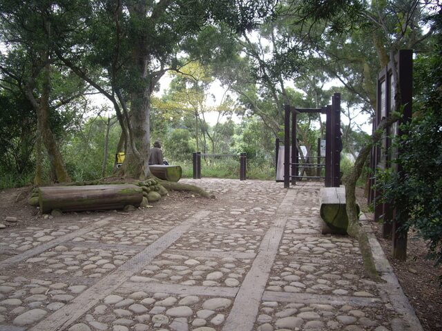 桃源里森林步道、坑子內山