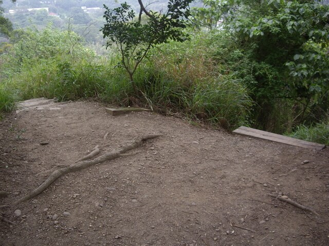 桃源里森林步道、坑子內山