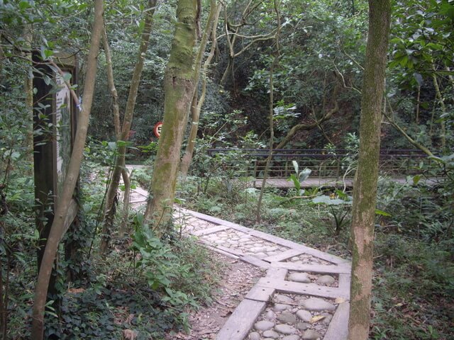 桃源里森林步道、坑子內山