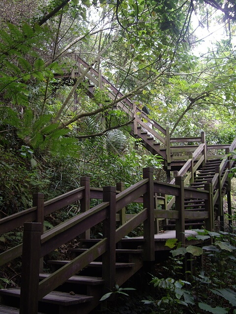 桃源里森林步道、坑子內山