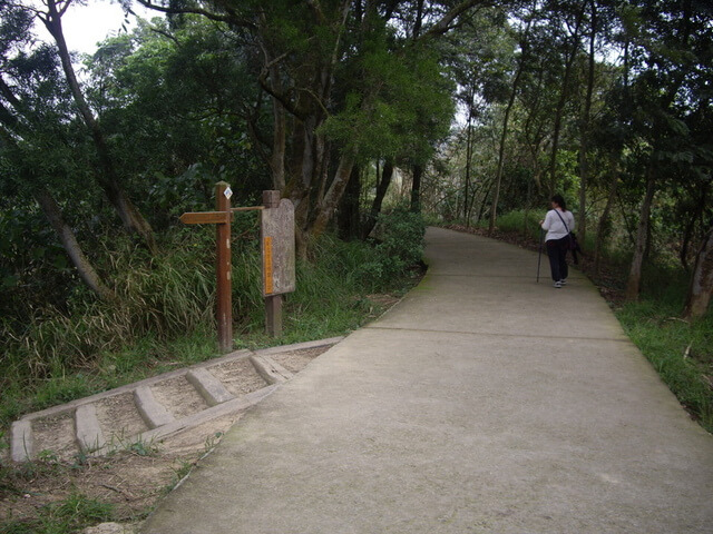 桃源里森林步道、坑子內山