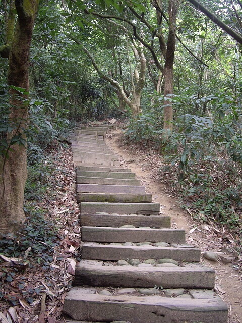 桃源里森林步道、坑子內山