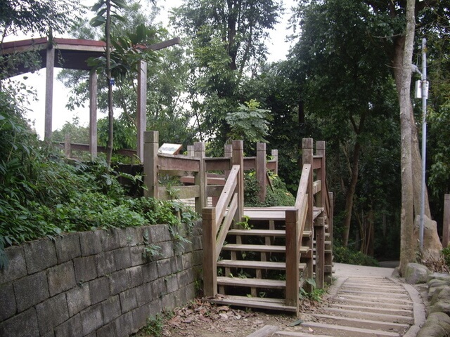 桃源里森林步道、坑子內山