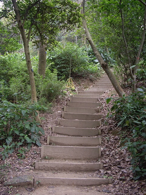 桃源里森林步道、坑子內山