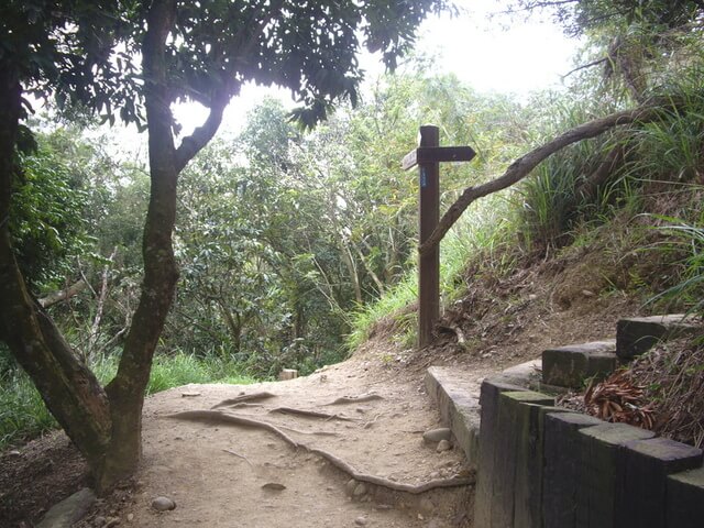 桃源里森林步道、坑子內山