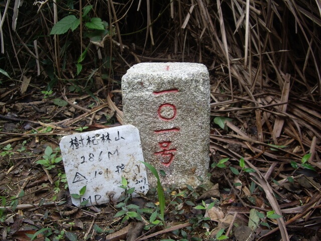 樹杞林山，三等三角點NO.101