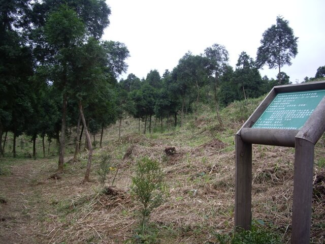 林務局造林地