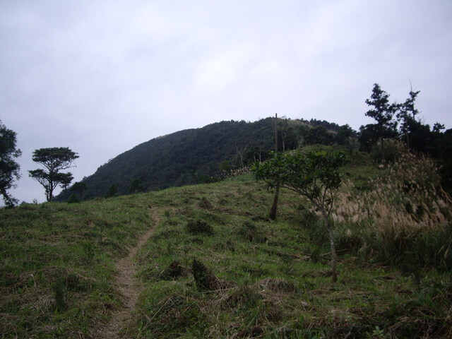 鵲子山