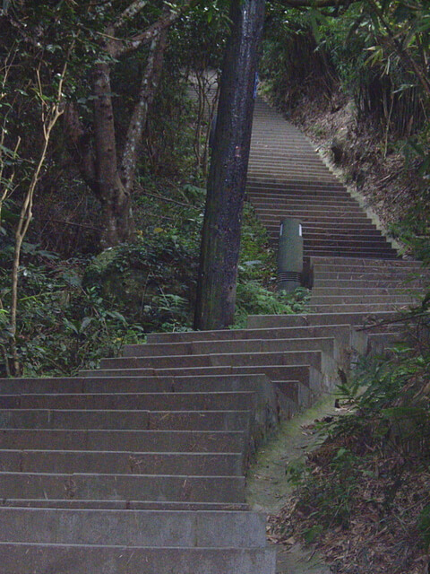 楓櫃斗湖步道、觀音山