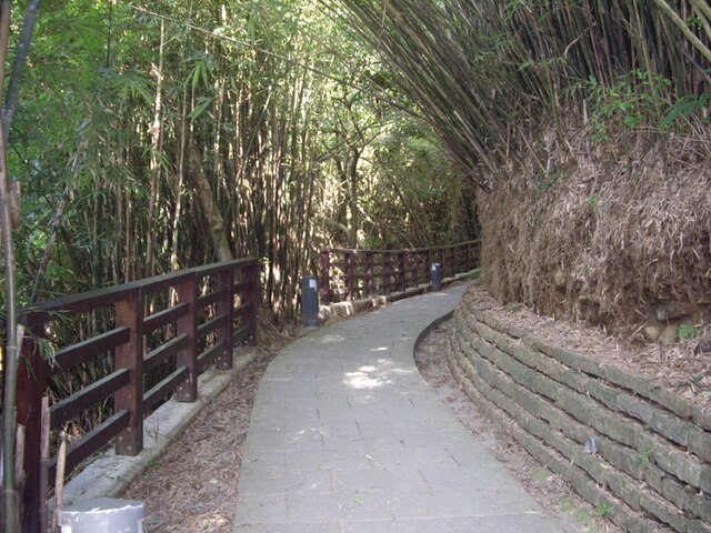 楓櫃斗湖步道、觀音山