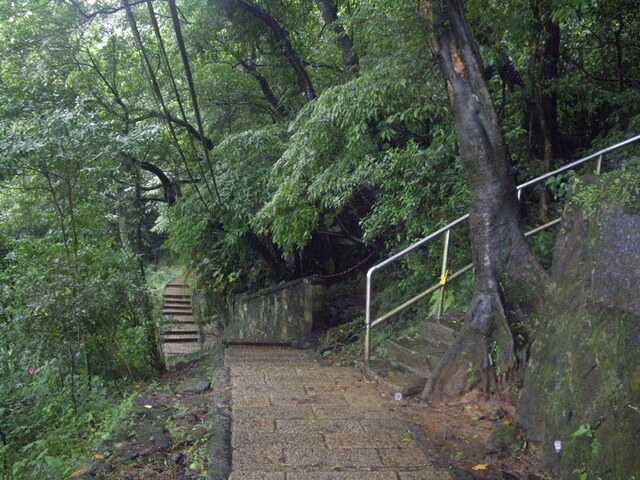 南港山、九五峰、九五峰東北嶺