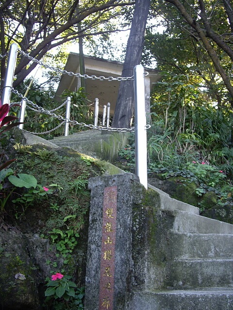 紅淡山 雙龍山櫻花迴廊