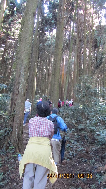 加里山(大坪林道路線)