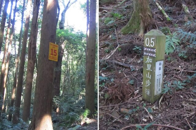 加里山(大坪林道路線)