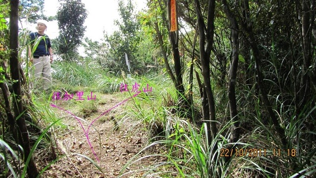 加里山(大坪林道路線)