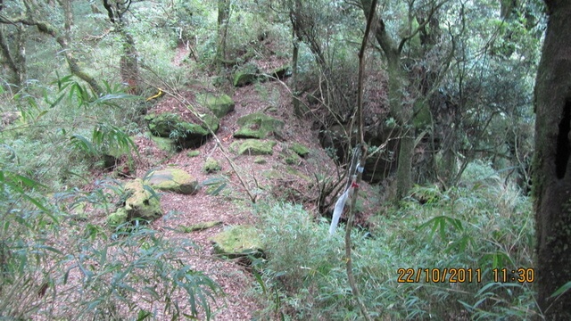 加里山(大坪林道路線)