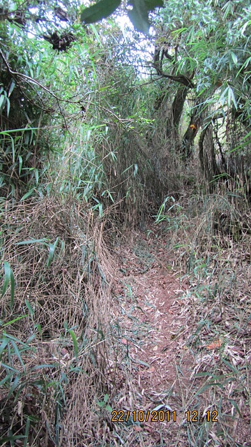 加里山(大坪林道路線)