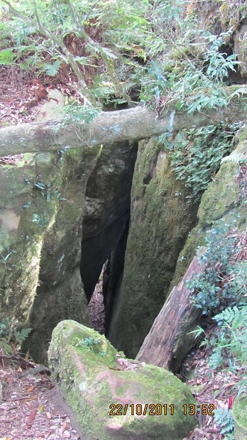 加里山(大坪林道路線)