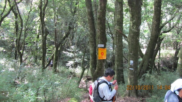 加里山(大坪林道路線)