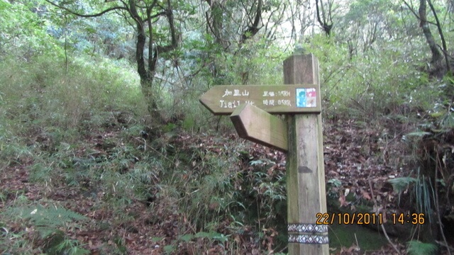 加里山(大坪林道路線)