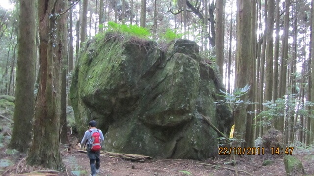 加里山(大坪林道路線)