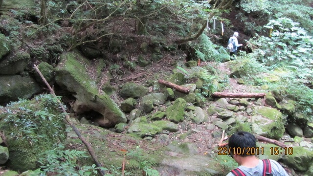 加里山(大坪林道路線) 乾溪溝